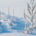 Praktische tips en activiteiten voor het winterseizoen